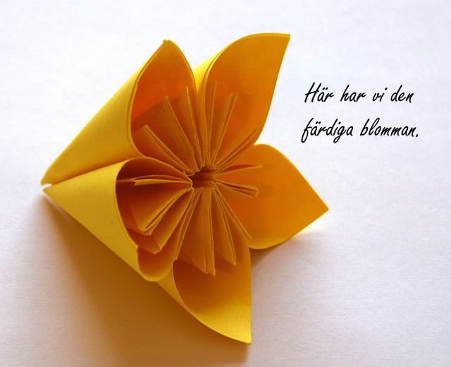 origami_steg19