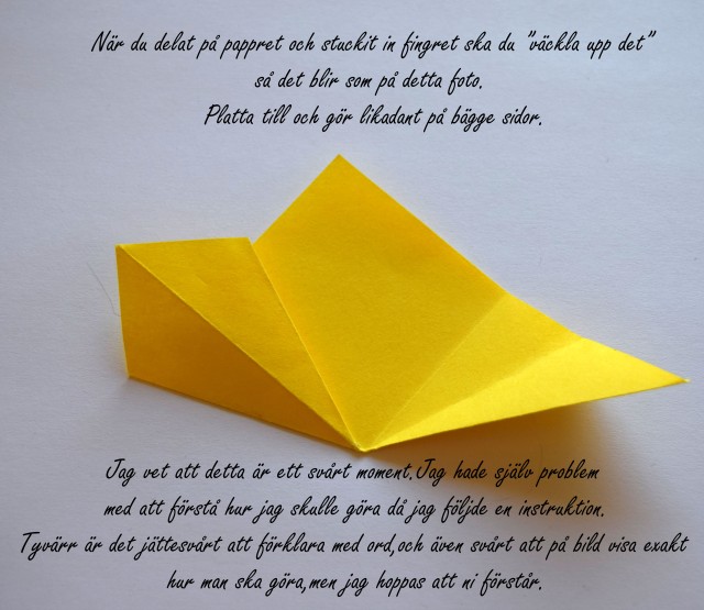 origami_steg9